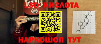 прущие крисы Новодвинск