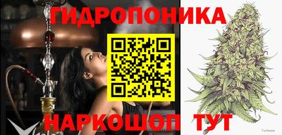 mix Новозыбков