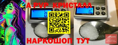 спиды Новокубанск